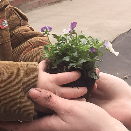kindje ontvangt een plantje
